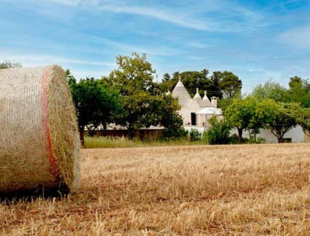 הוילה מרטינה פרנקה Trulli Delle Rose מראה חיצוני תמונה